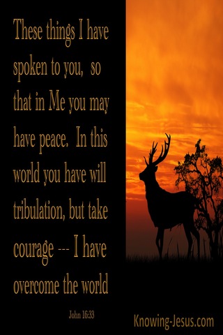 John 16:33 Jesus Said Take Courage I Have Overcome The World (brown)